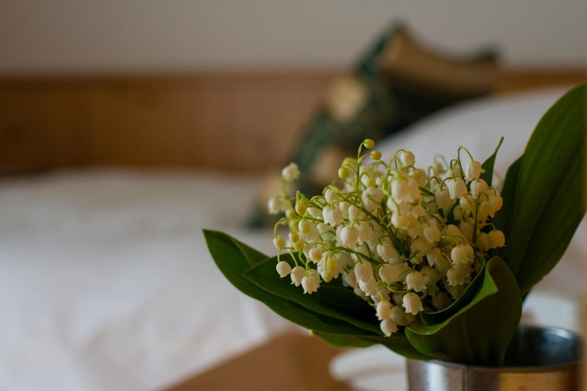 Hotel Chalet All'Imperatore Madonna Δωμάτιο φωτογραφία